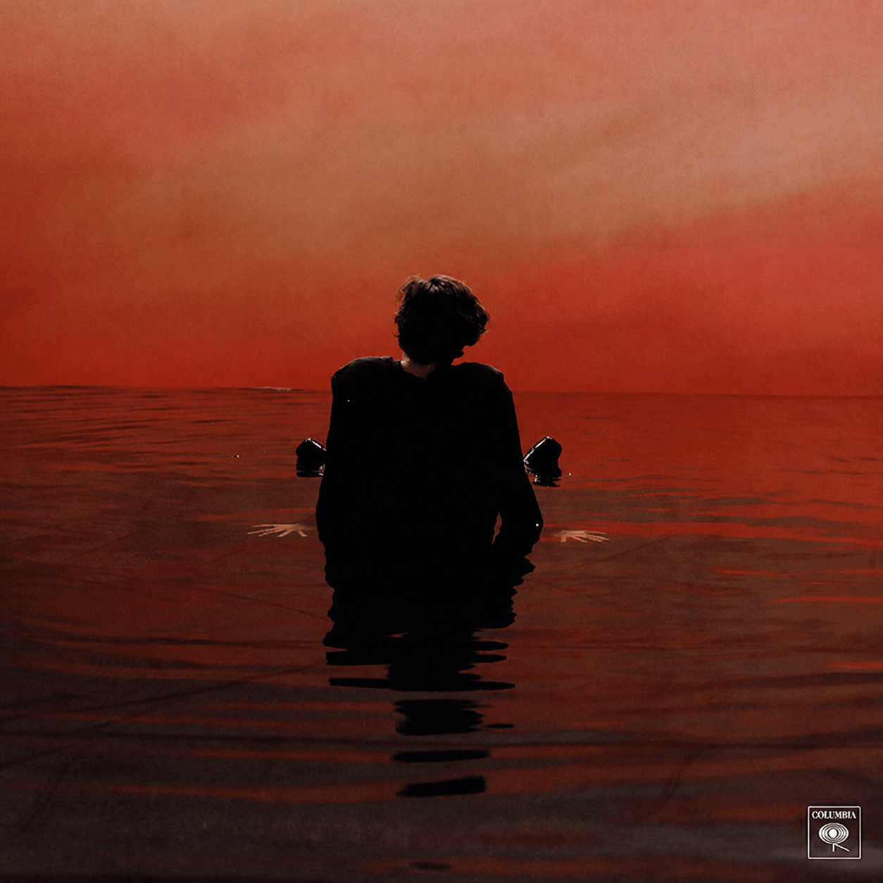 Sign of the Times cover artwork